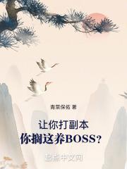 讓你打副本，你擱這養BOSS？