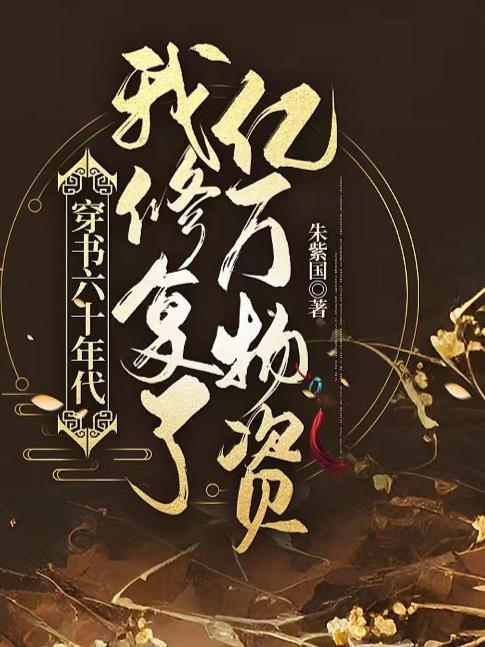 穿書六十年代，我修複了億萬物資